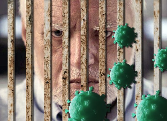 Травля по-соседски: как оставаться людьми в несвободе - «Новости дня»