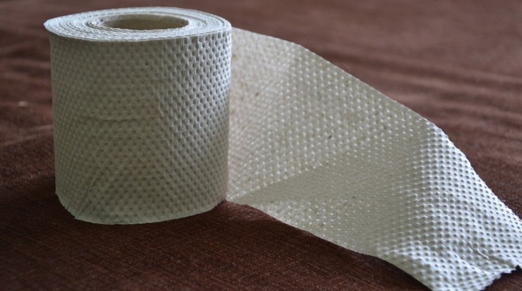 В Дании повысили штрафы за кражу туалетной бумаги - «Новости дня»