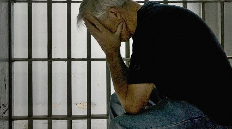 В Новосибирской области задержан пенсионер, расчленявший молодых собутыльников - «Новости дня»