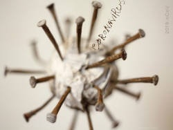 Не самоизоляция, а убийство страны - «Новости дня»