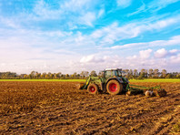 ООН и ВТО предупредили об опасности продовольственного кризиса в мире - «В мире»