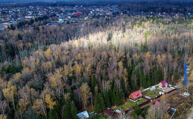 Под прикрытием коронавируса власти в тихую продают природоохранные земли застройщикам - «Политика»