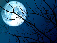 Предстоящей ночью можно будет наблюдать самую большую Луну 2020 года - «В мире»