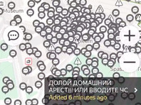 Протесты перешли на удаленку: россияне по всей стране требуют на виртуальных митингах компенсаций за потерю работы и прямой помощи от государства - «Россия»