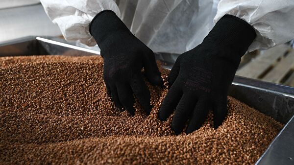 В Минздраве назвали замену гречке - «Медицина»