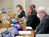 Госдума запретила участвовать в выборах осужденным по "дадинской" статье и за призывы к экстремизму - «Россия»