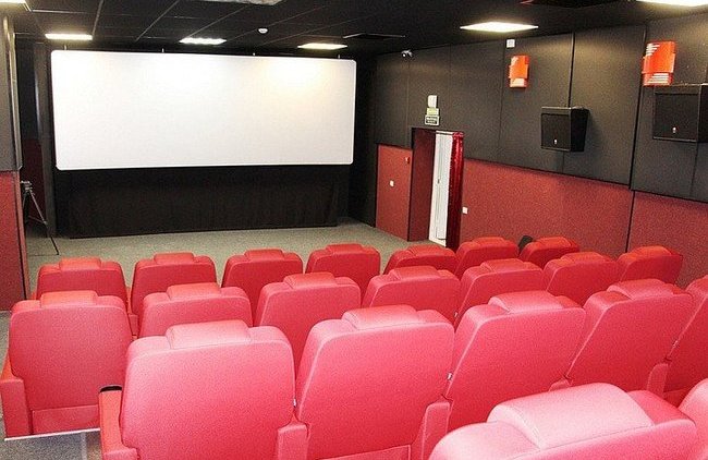Кинотеатры попросили Роспотребнадзор научить их бороться с коронавирусом - «Власть и Общество»