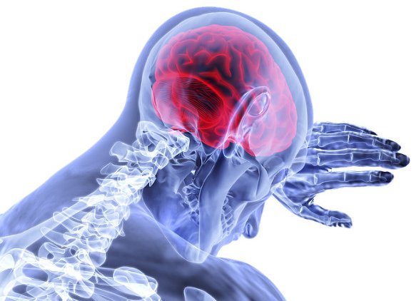 Правила гигиены мозга - «Новости дня»