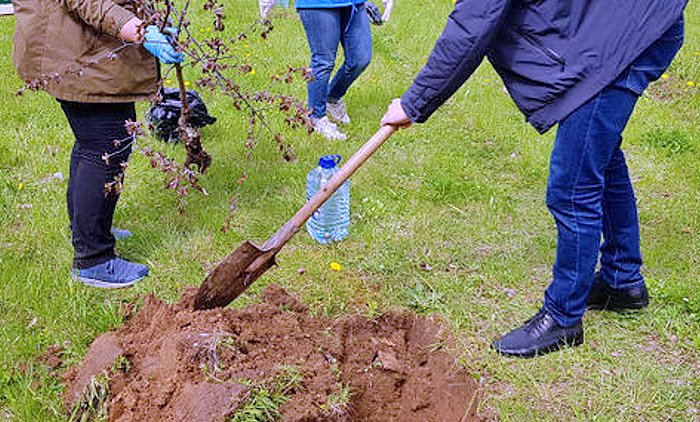 Россияне посадили деревья и превратились в экстремистов - «Новости дня»