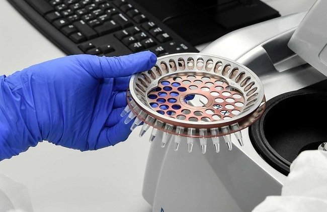 США обвинили Китай в попытке украсть вакцину от коронавируса - «В мире»