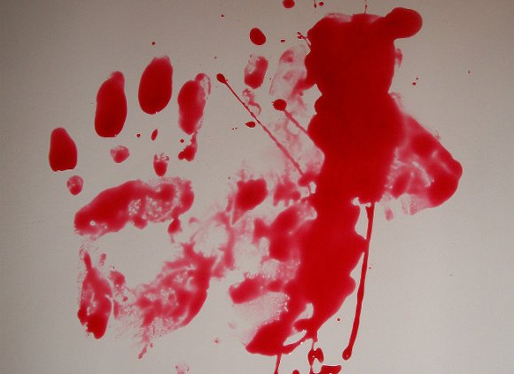 В Подмосковье пьяный мужчина изрезал двух полицейских - «Новости дня»