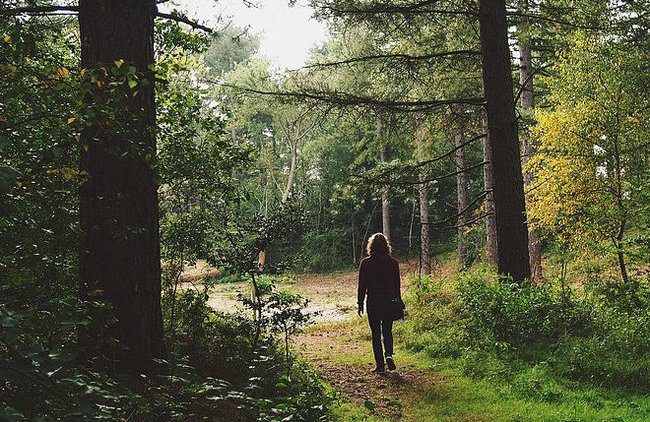 В Приморье мужчина прятал троих детей в лесу - «Власть и Общество»