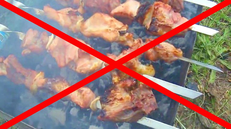 Жарившие шашлыки на площади в российском городе раскаялись и заплатят штраф - «Новости дня»