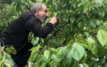 Никол Пашинян хочет потрясений? - «Общество»