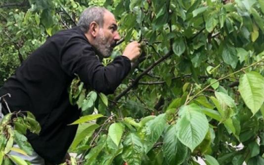 Никол Пашинян хочет потрясений? - «Общество»