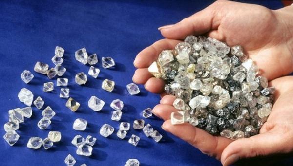 Пришло время пожинать плоды - «Экономика»