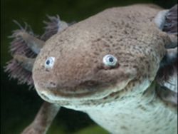 США выделили для Украины еще $1 млн - «Новости дня»