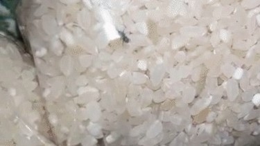 В набор продуктов для московских дошколят добавили жучков и червячков - «Новости дня»