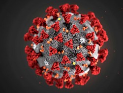 В Роспотребнадзоре не исключили, что к 12 мая ограничительные меры придется усилить - «Новости дня»