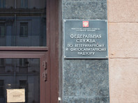 Задержанная в Испании сотрудница Россельхознадзора, которой грозила экстрадиция в США, вернулась в Россию - «В мире»