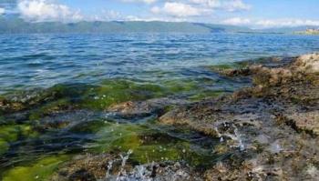 Дети понедельника: «Шагающий» премьер оставляет за собой одни руины - «Экономика»