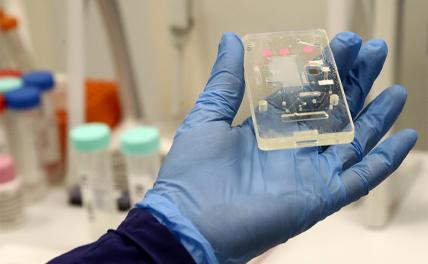 Массовое чипирование принесет россиянам пользу: «Усилия» Билла Гейтса не пропадут даром - «Общество»