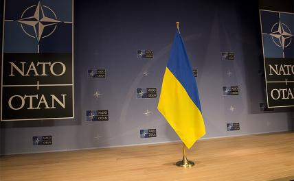 Мечта Киева сбывается: Украину возьмут в НАТО, но как Югославию — по частям - «Последние новости»
