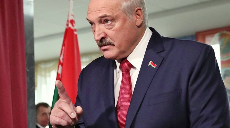 Лукашенко сравнил своего оппонента на выборах с хряком - «Новости дня»