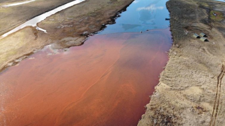 Они думали, что никто не заметит - «Новости дня»