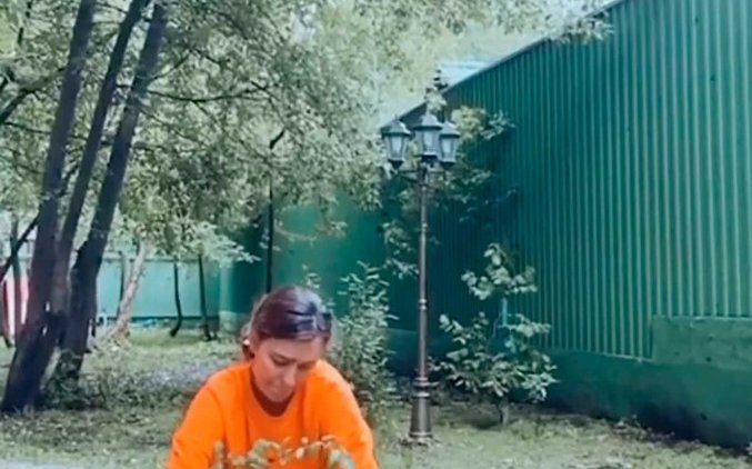 Песков и Тодоренко нашли общее занятие в изоляции - «Культура»