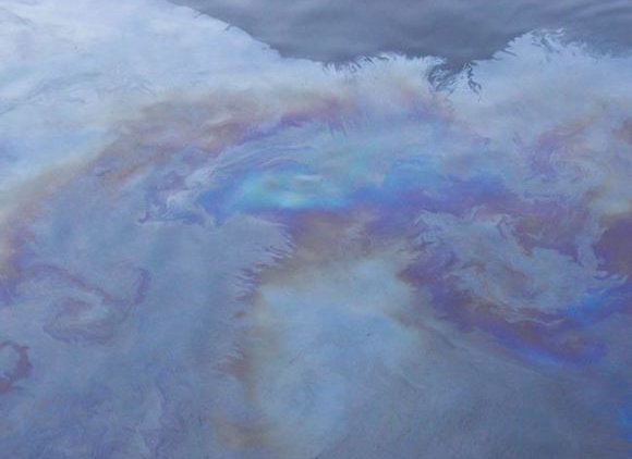 Власть разболталась донельзя - «Новости дня»