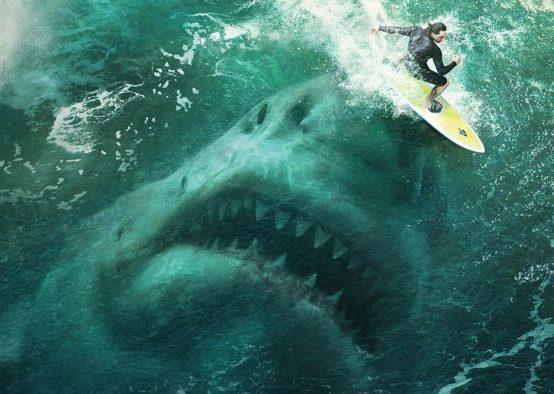 Сердиться на акулу глупо - «Общество»