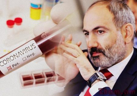 Так вот чей он пес, этот коронавирус или Операция «Ы» - «Политика»