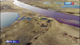 Вести в 20:00 Эфир от 03.06.2020 - «Телеканал «Россия»