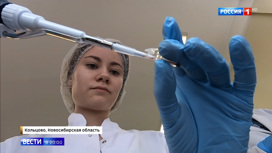 Вести в 20:00 Эфир от 26.06.2020. Ученые подсчитали, сколько вакцины нужно для выработки иммунитета к COVID-19 - «Телеканал «Россия»