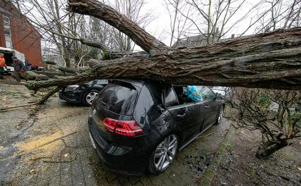 Земля превращается в непредсказуемую «планету бурь» - «Последние новости»