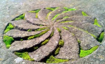 Армяне и Закон Вечности - «Общество»