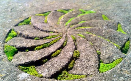 Армяне и Закон Вечности - «Общество»