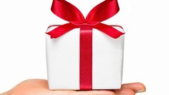 Бонус за голос: сколько получили члены ЦИК за работу на голосовании - «Новости дня»