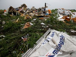 "Будьте мужчиной". Родители погибшего в катастрофе MH17 требуют от Путина взять ответственность - «Новости дня»
