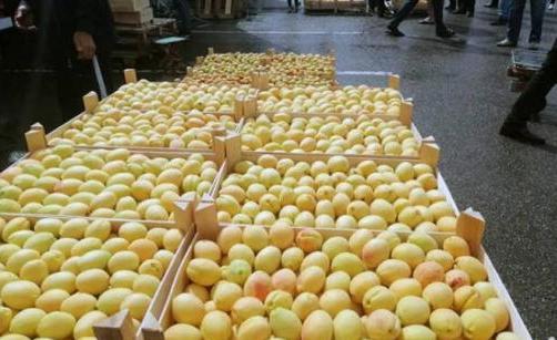 ГКЗЭК обратился к партнерам по ЕАЭС относительно запрета на реализацию армянской продукции - «Политика»
