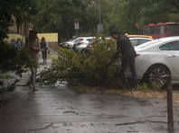 Гроза, ливни, ураган - накануне ветер в Москве повалил 130 деревьев, повредил 23 машины, опрокинул щиты и торговые палатки (ВИДЕО) - «Москва»
