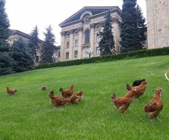 Эту бомбу не обезвредит ни один сапер - «Общество»