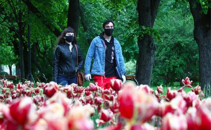 Маски носят даже в лесу: Власть превратила коронавирус в главный ужас 2020 года - «Последние новости»