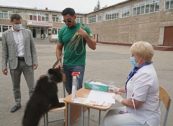 Французские СМИ: Голосование по поправкам к Конституции РФ — фарс - «Новости дня»