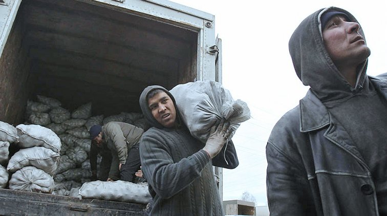 Минэкономразвития назвало самые востребованные профессии - «Новости дня»