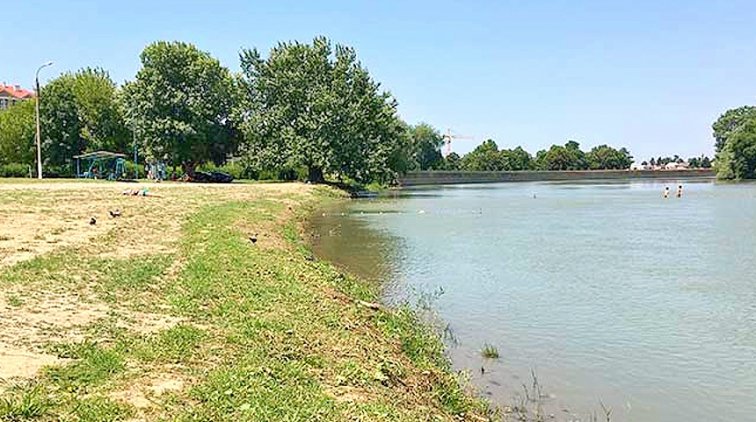 На Кубани педофилы пытались склонить девочек к сексу, обещая деньги - «Новости дня»