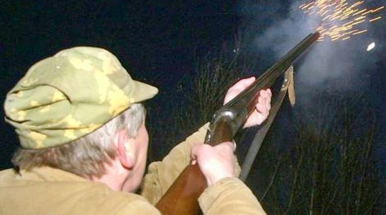 Приморские полицейские-браконьеры случайно убили другого браконьера - «Новости дня»