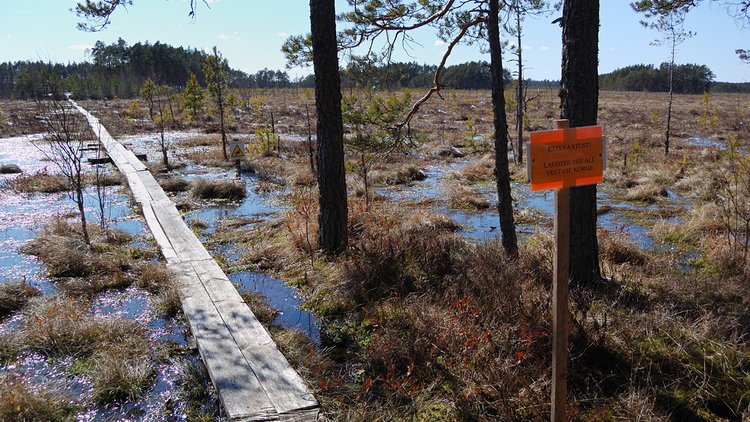 Режим пытается укрепить мостки на болоте - «Новости дня»