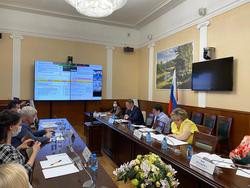 Михаил Мурашко принял участие в онлайн-брифинге ВОЗ - «Здравоохранение»